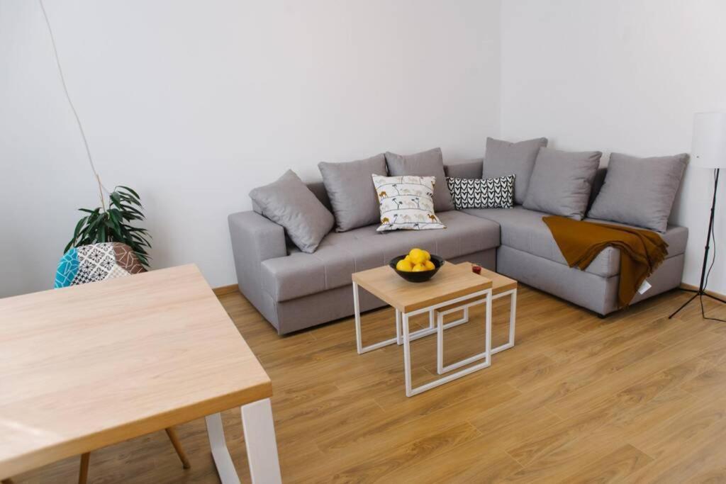 Millennium Bridge Cozy Apartment Top Location Podgorica Exterior photo